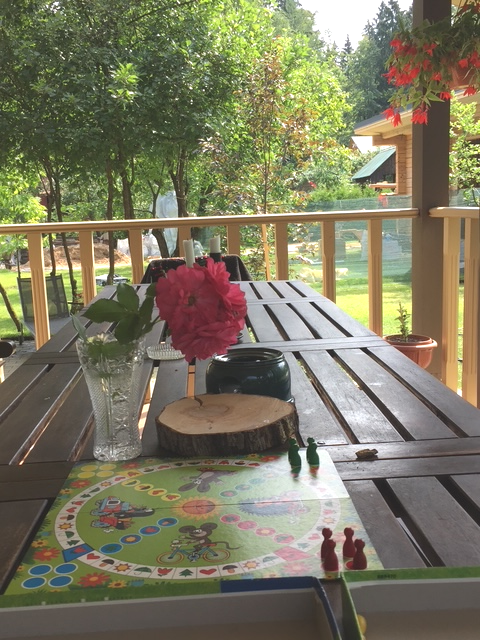 Любимая игра. Фото автора.