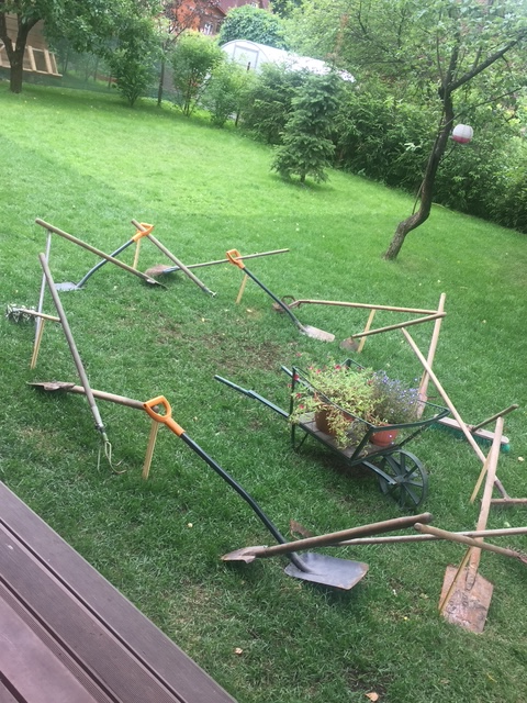 Фото автора.