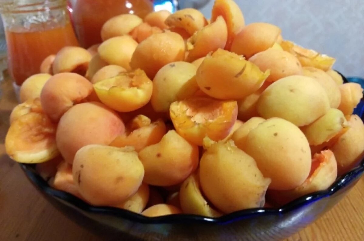    Больничная койка и пустой кошелек: итог ссоры волгоградцев из-за абрикосов