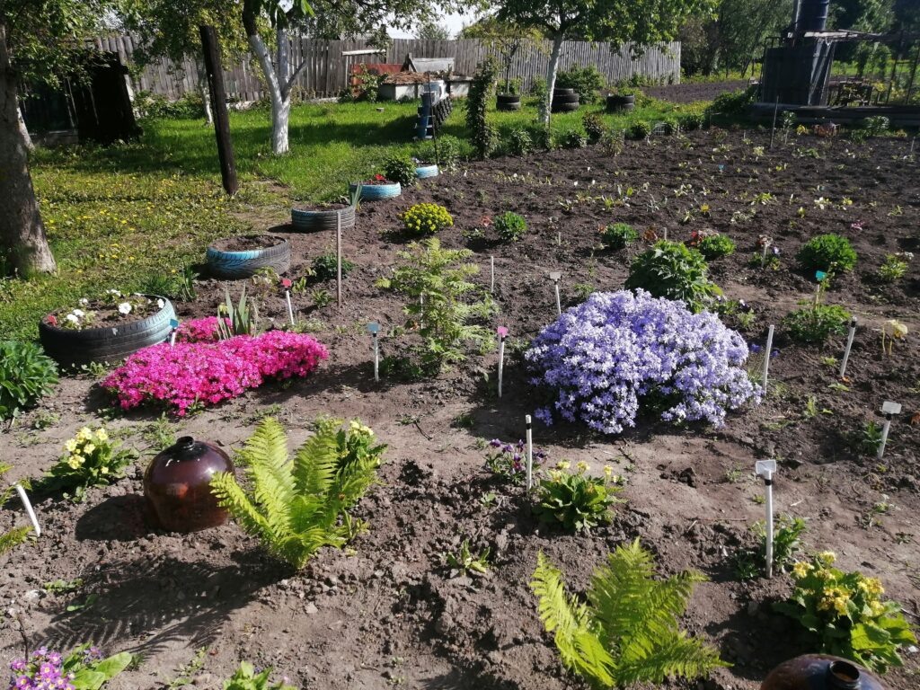 Цветник мая.