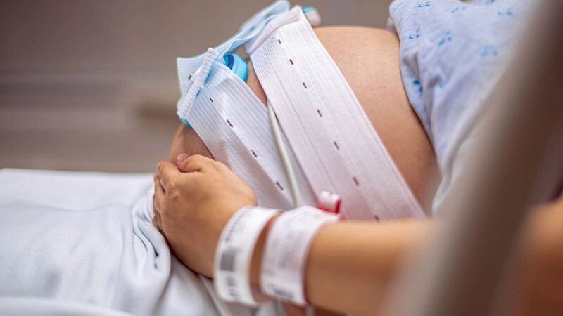    Фото: christinarosepix/Shutterstock/Fotodom