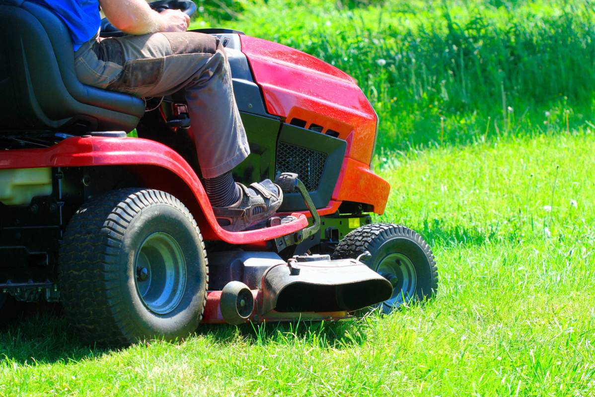    Фото: vaivirga / Shutterstock.com