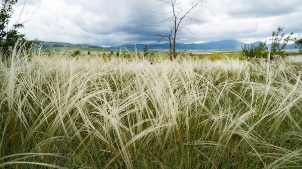    © РИА Новости Крым