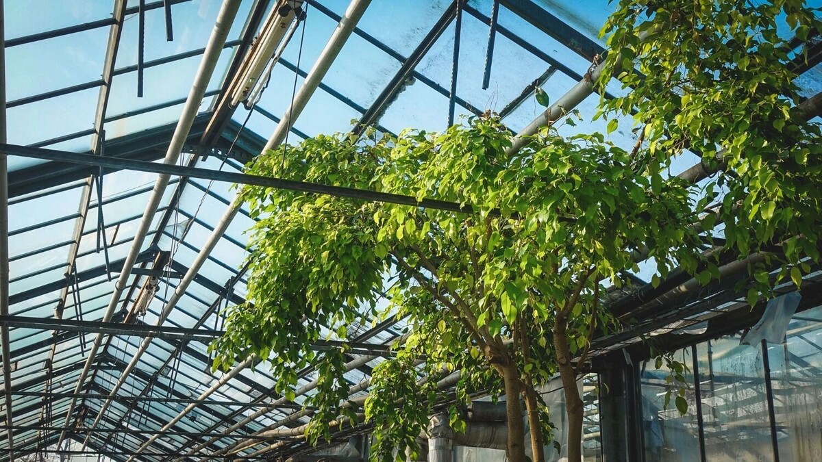     Источник: 1MI