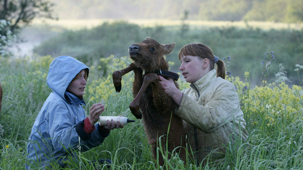    Zamir Usmanov/Russian Look/Globallookpress