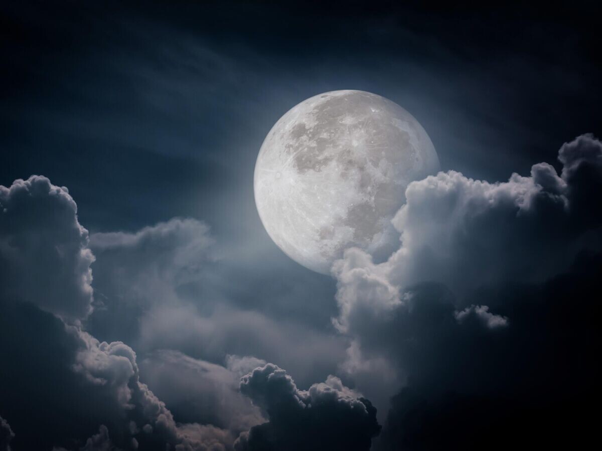    Полнолуние © Getty Images / kdshutterman