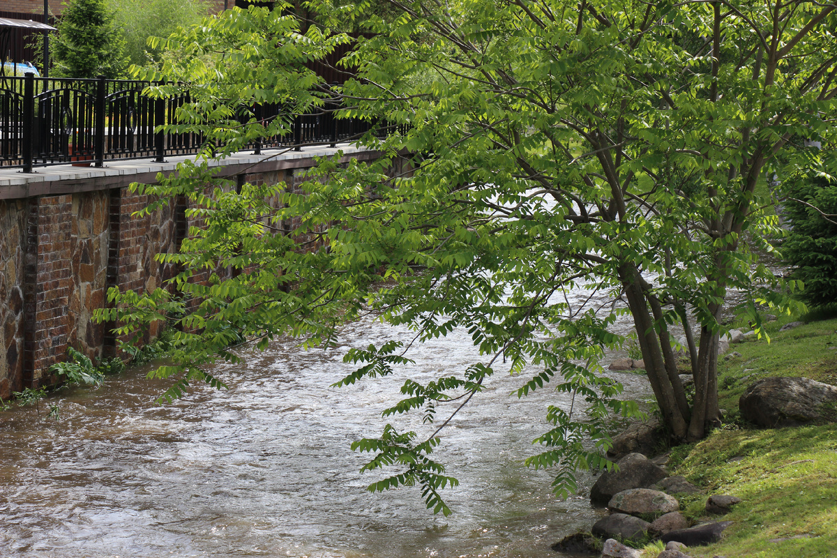 Река Белокуриха