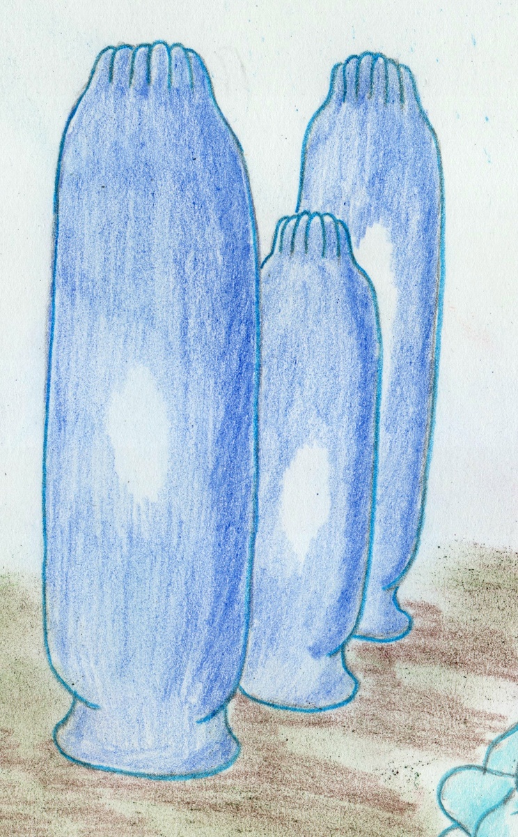 Реконструкция Vaveliksia velikanovi