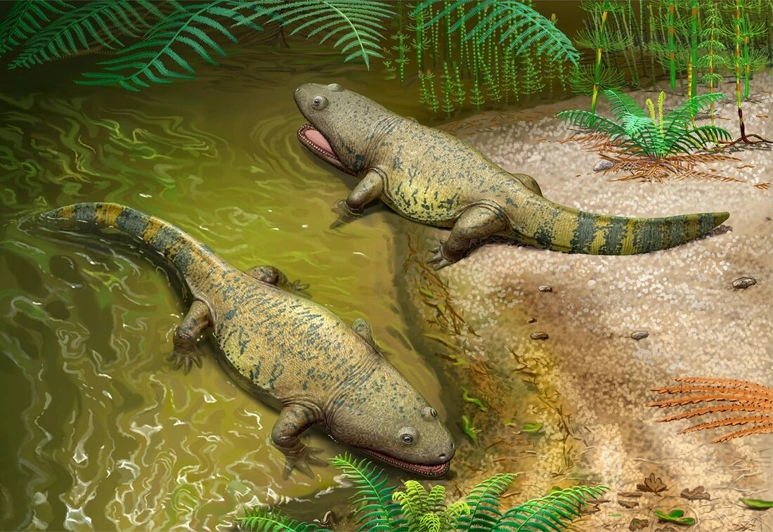 Метопозавры пришли на смену вымершим в начале позднего триаса мастодонзаврам и хоть значительно уступали им по размеру, всё равно были главным хищниками рек и озёр.