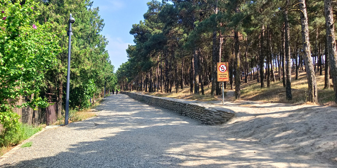 С высот Соснового бора Дербент весь как на ладони