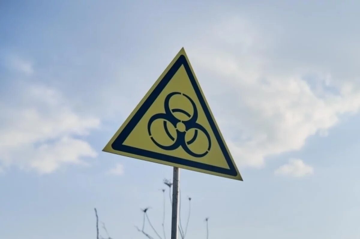    Никулин: Украина может создать «грязную бомбу» в течение недели