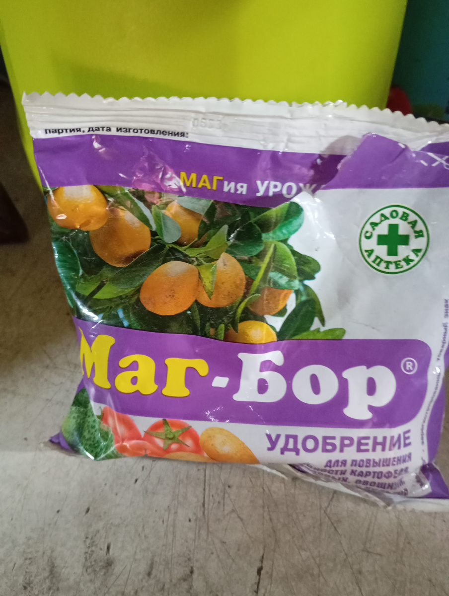 Маг- бор, фото автора.