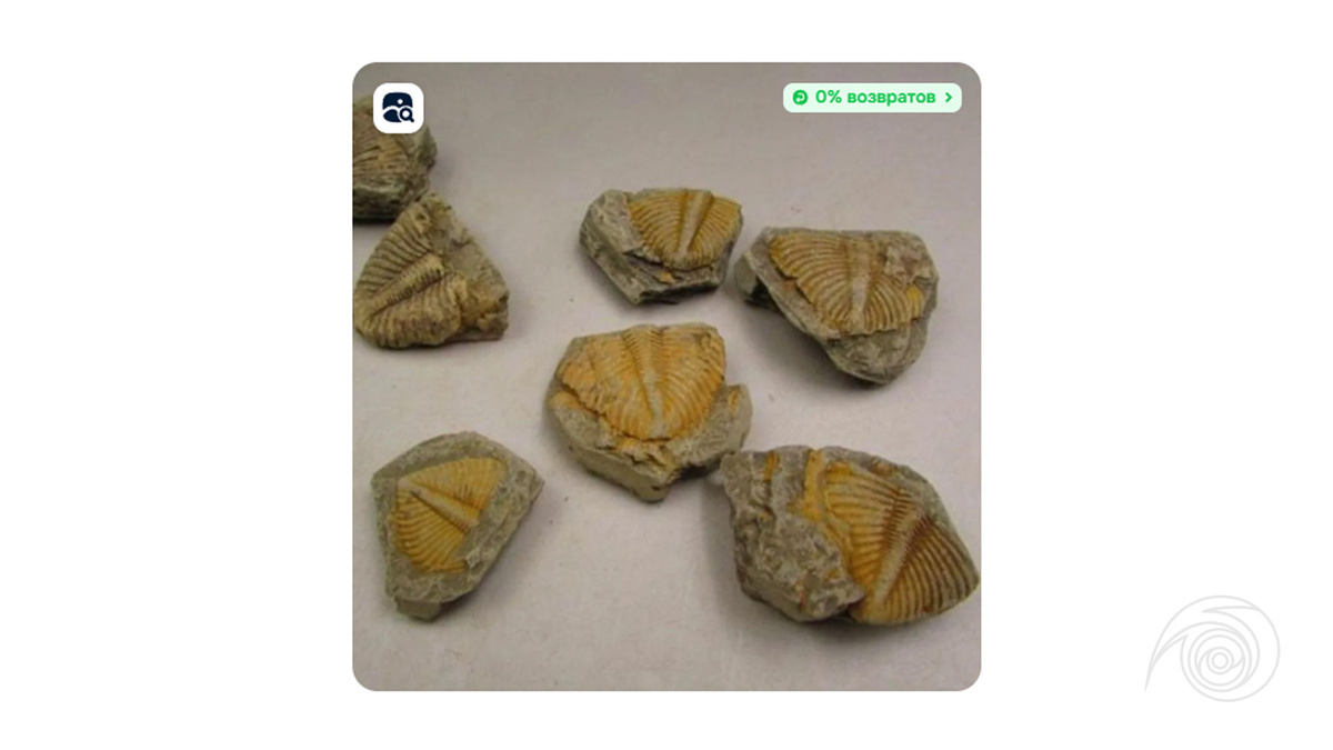 Заказал и жду "мою прелесть"...