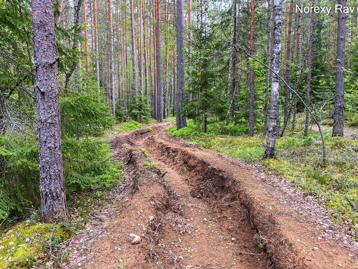 Противопожарные рвы