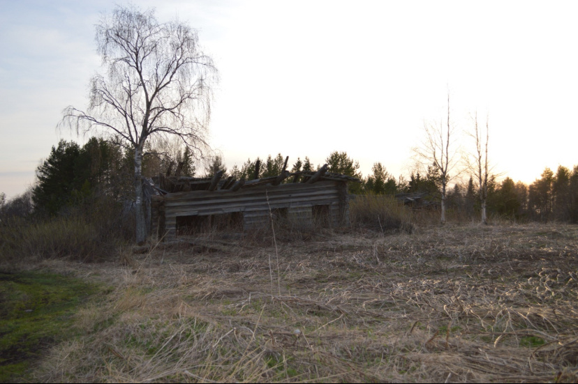 Развалины старой деревни. Фото из открытых источников.