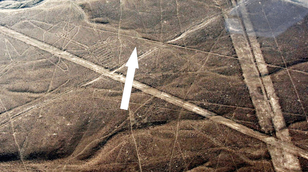    Тайна рисунков Наски скрывает послание для инопланетян или это грандиозный обман