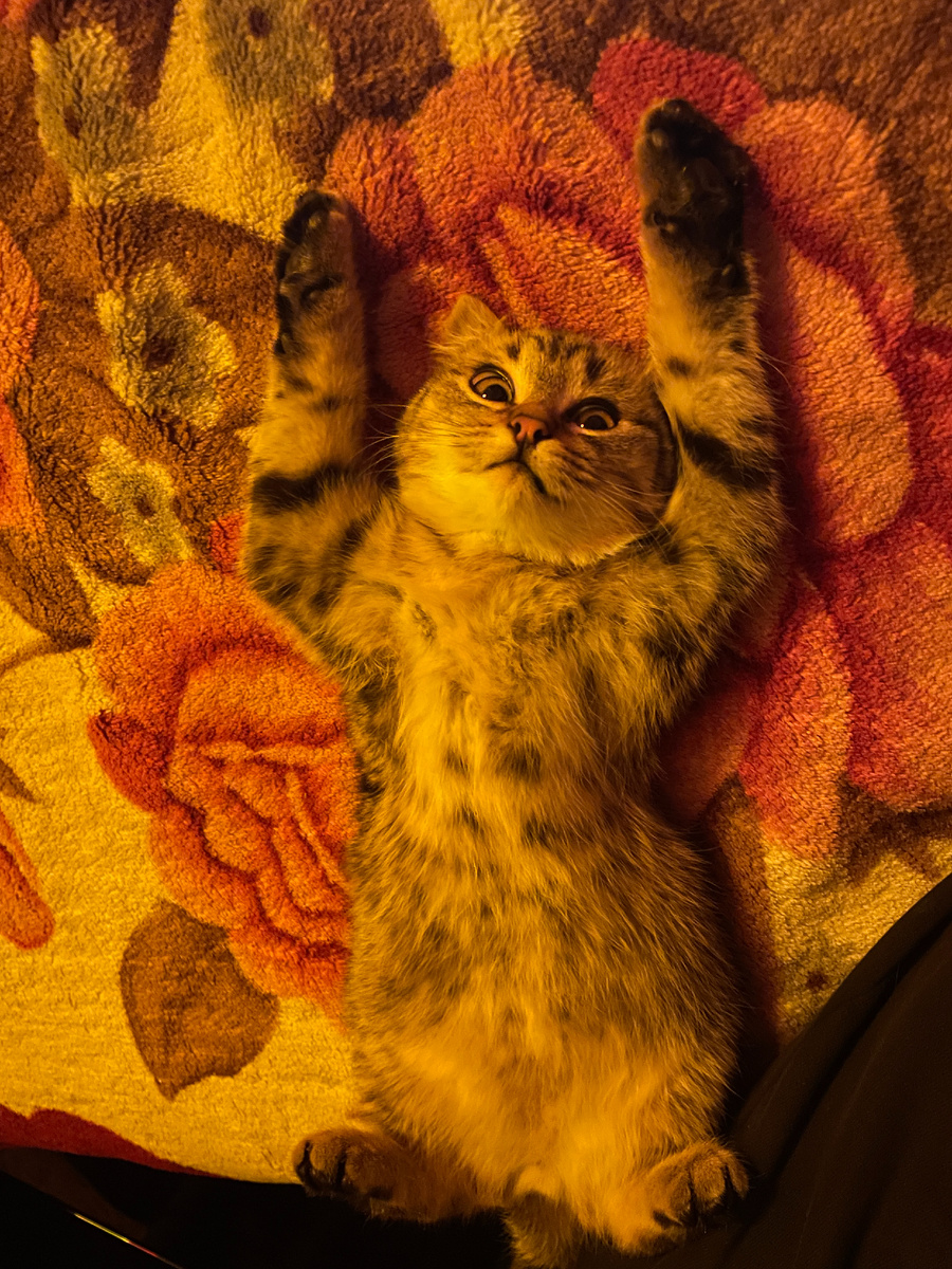 Кстати, это я маленький и довольный)