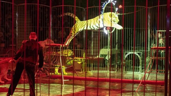    © РИА Новости Крым