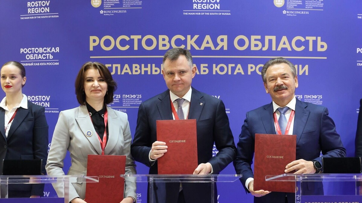     Источник: предоставлено пресс-службой Правительства Ростовской области