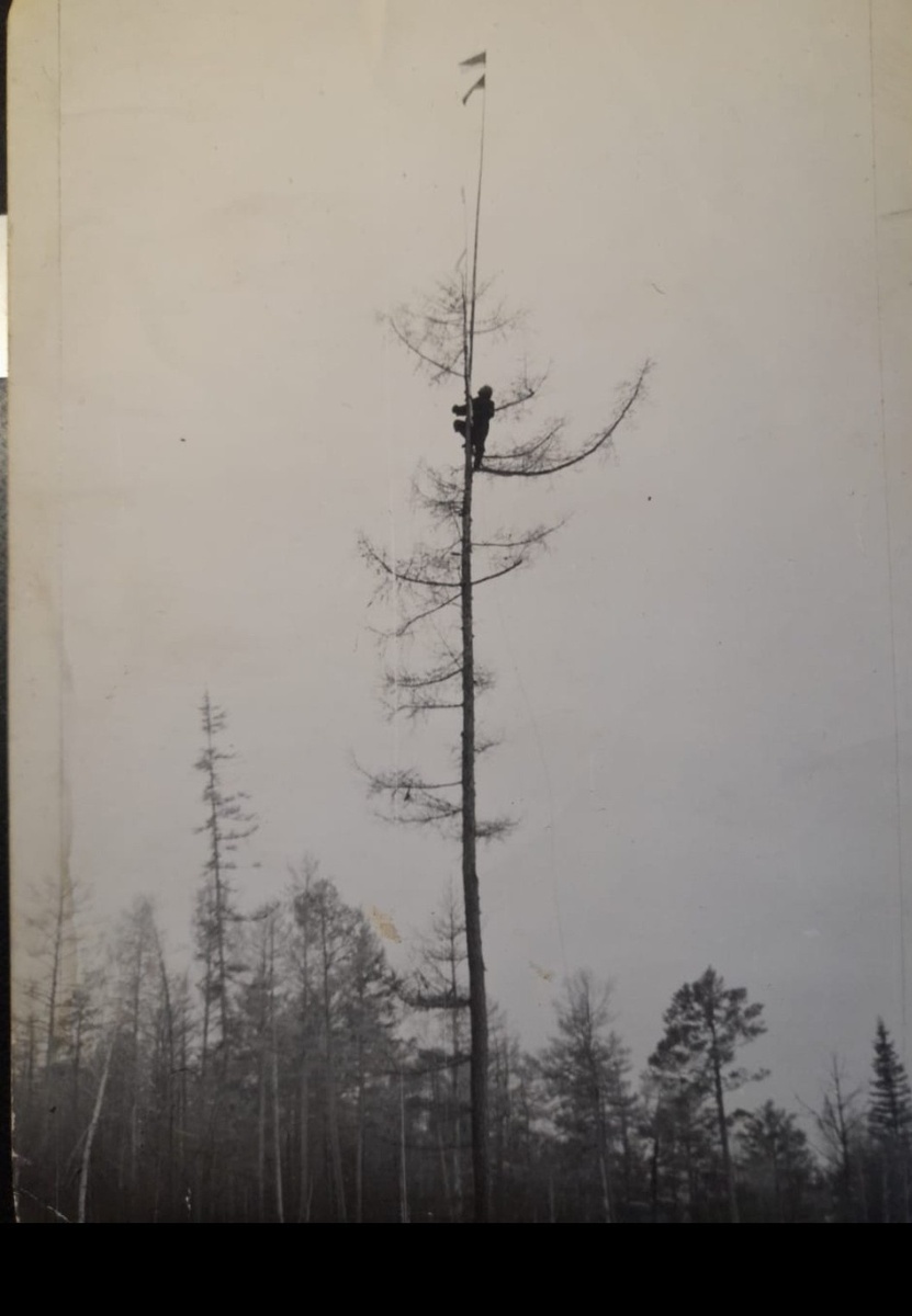 Подъём вехи с флагами на дерево.