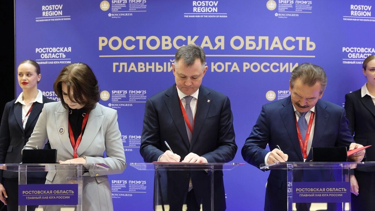     Источник: предоставлено пресс-службой Правительства Ростовской области