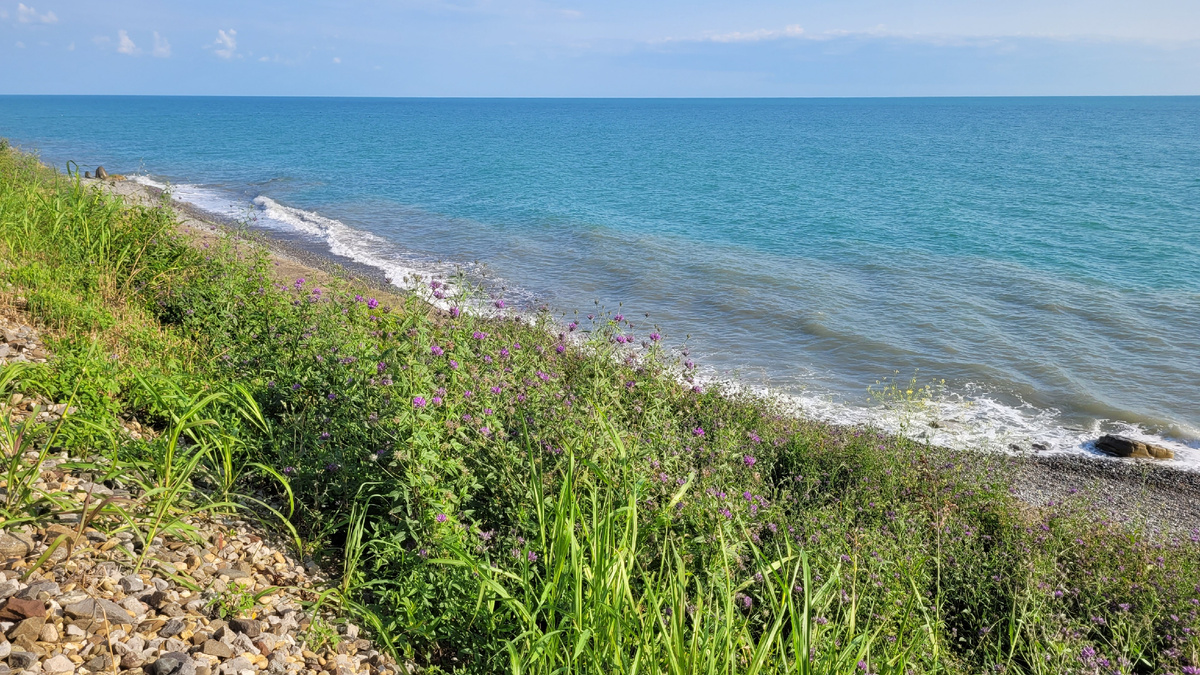 Черное море в Сочи