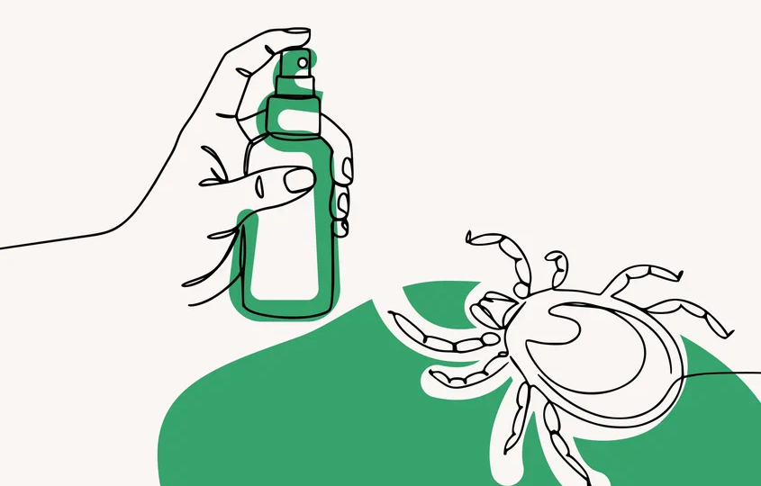 Как эффективно и безопасно обработать садовый участок от клещей самостоятельно