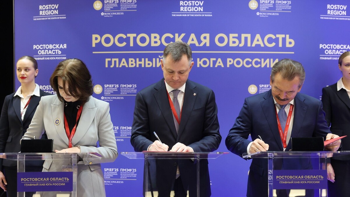     Источник: предоставлено пресс-службой Правительства Ростовской области