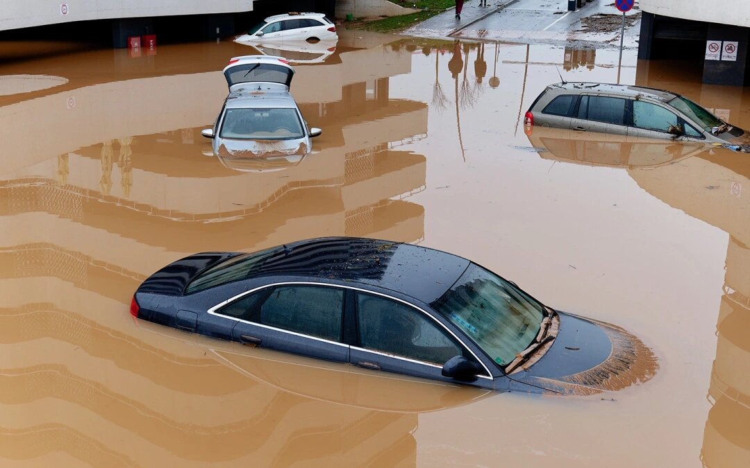 Фото: stu.dio / Shutterstock / FOTODOM