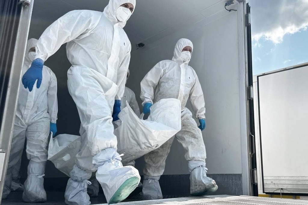    Фото © Telegram / Владимир Мединский