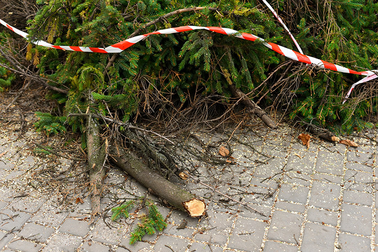    Shutterstock/FOTODOM