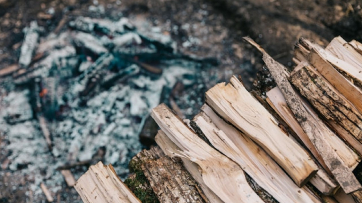 Яндекс картинки