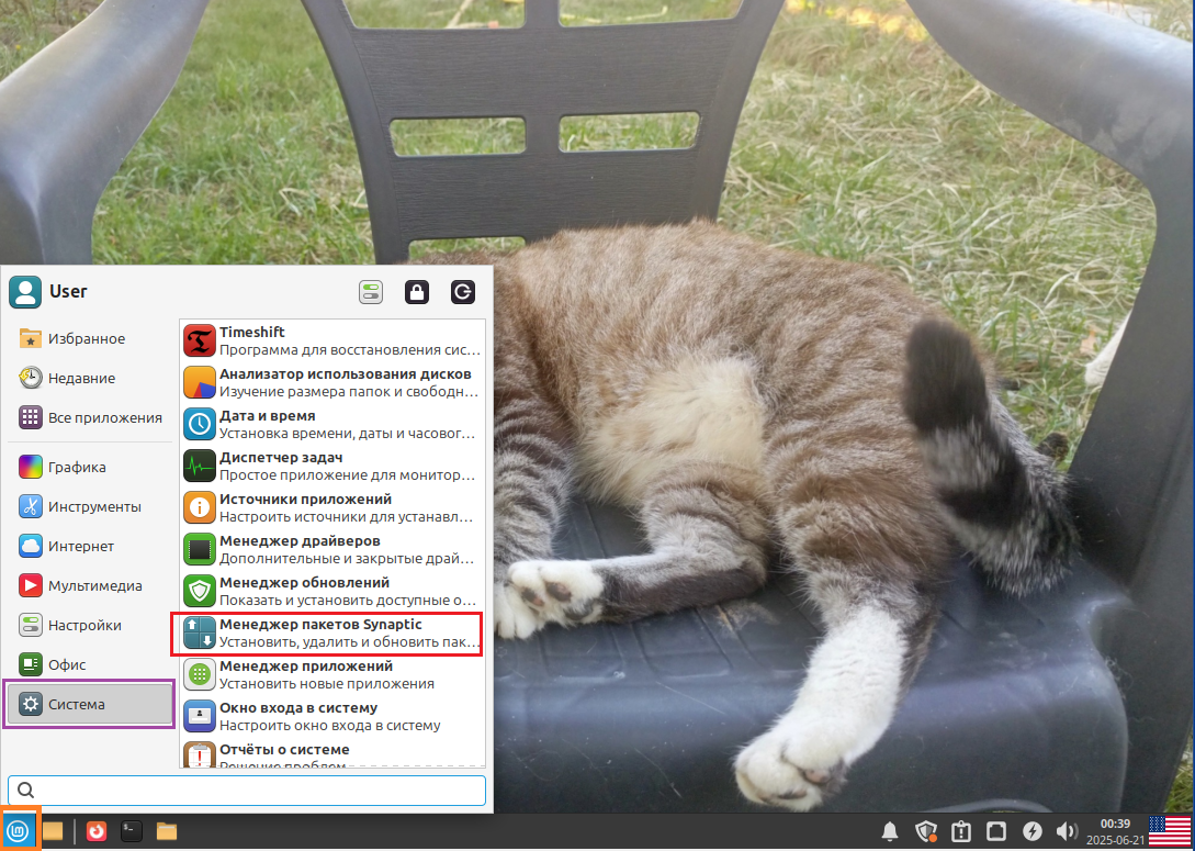 Меню "Linux Mint" --> "Система" --> "Менеджер пакетов Synaptic"
