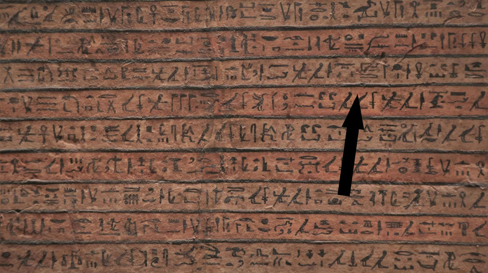    Раскрытие тайны кодекса Серафиниануса: загадочная рукопись эпохи тайн