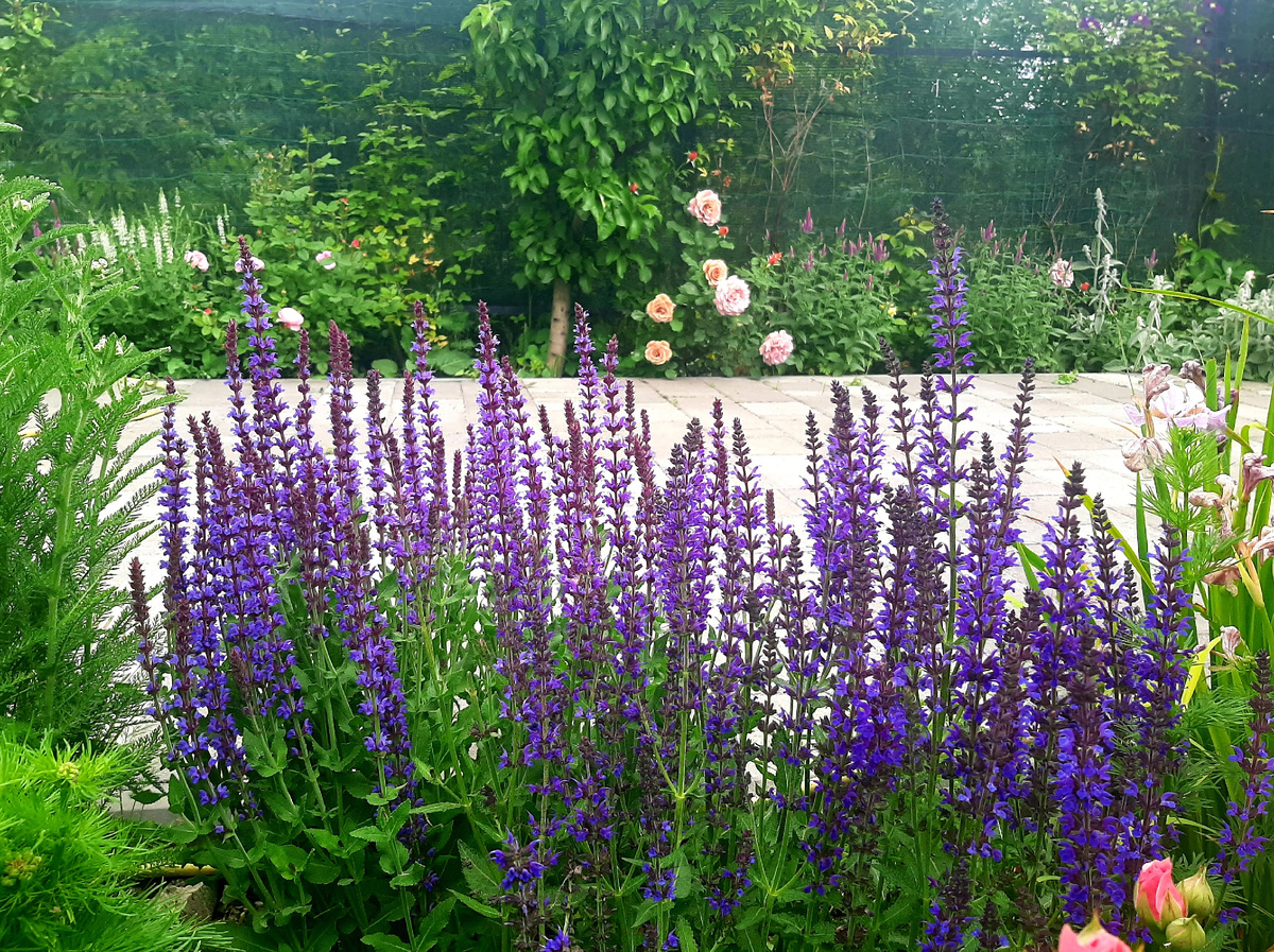 Моя любимая пора- ещё никто не развалился, не раскорячился...