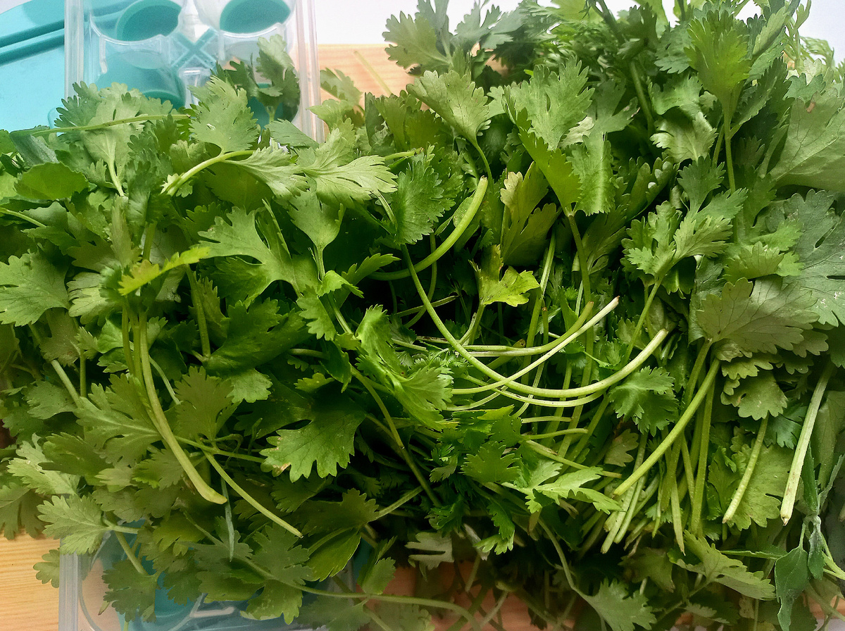 Фотография автора канала 