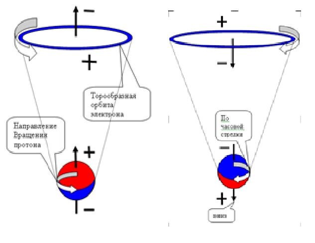 Рис. 1. Атом водорода спин J =1 /2+    Рис. 2. Атом водорода спин J =1 /2-.