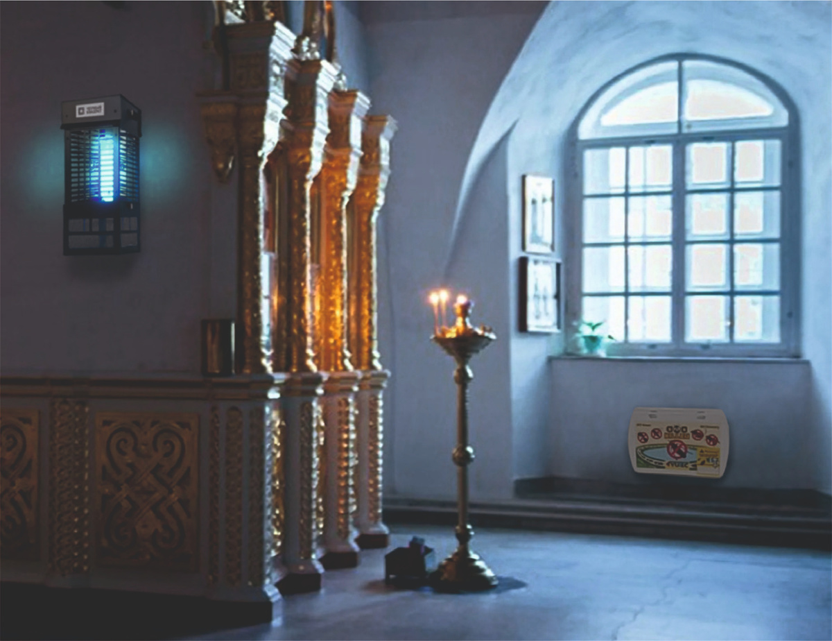 Насекомым тут не место