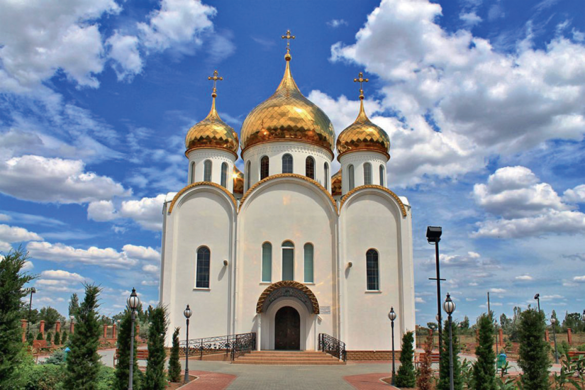 Насекомым тут нет места