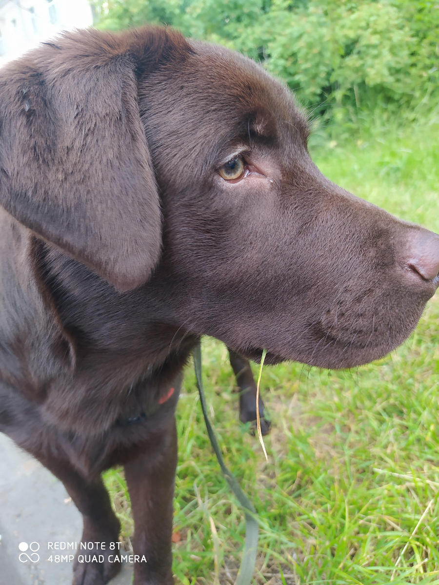  Из фотоархива автора.