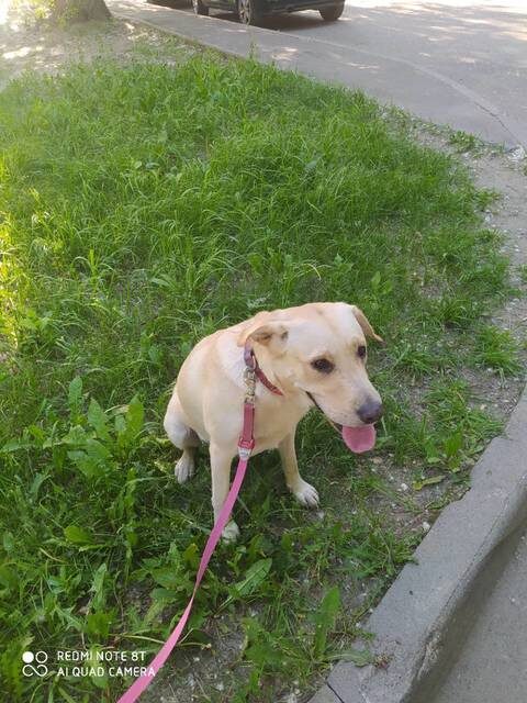 Из фотоархива автора.