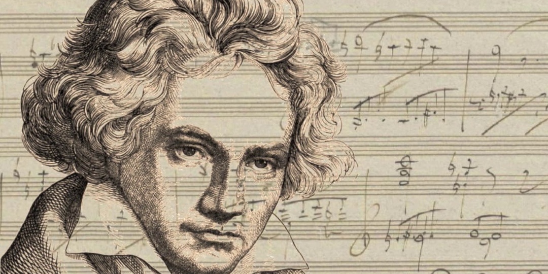 Что такое соната и как развивается в ней драматургия?