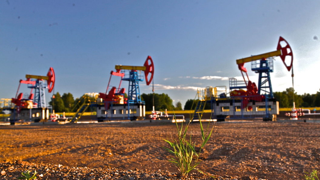    ФОТО: Aleksander Lyskin/Globallookpress