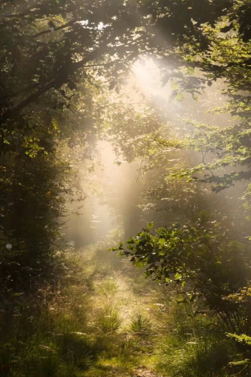 Приблизительно так выглядит путь человека, решившего раз и навсегда изменить свою жизнь.