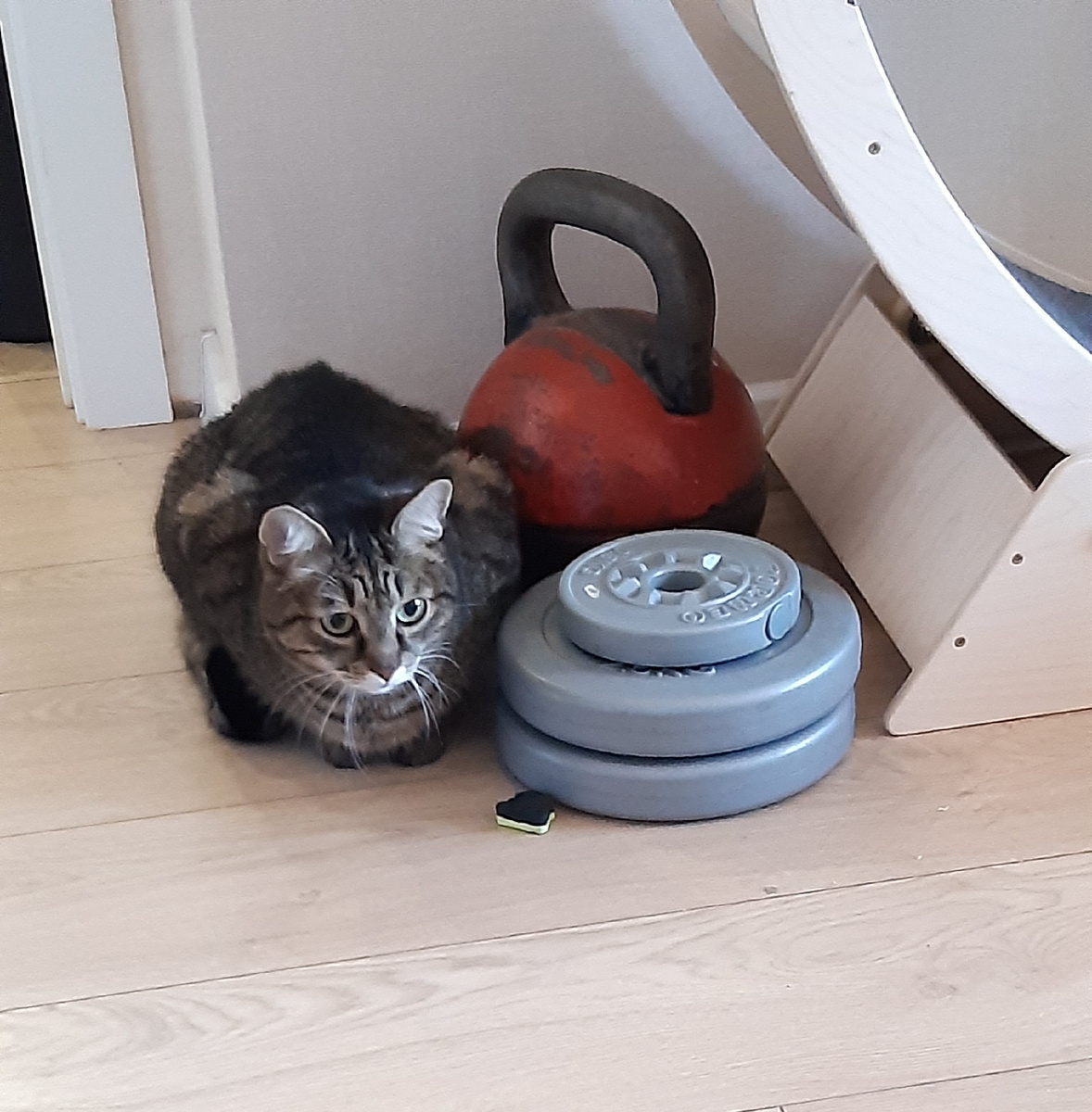 Слежу во все глаза за кренделем👀