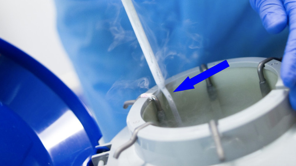    Тайны мумификации Как современные технологии сохраняют тела на века