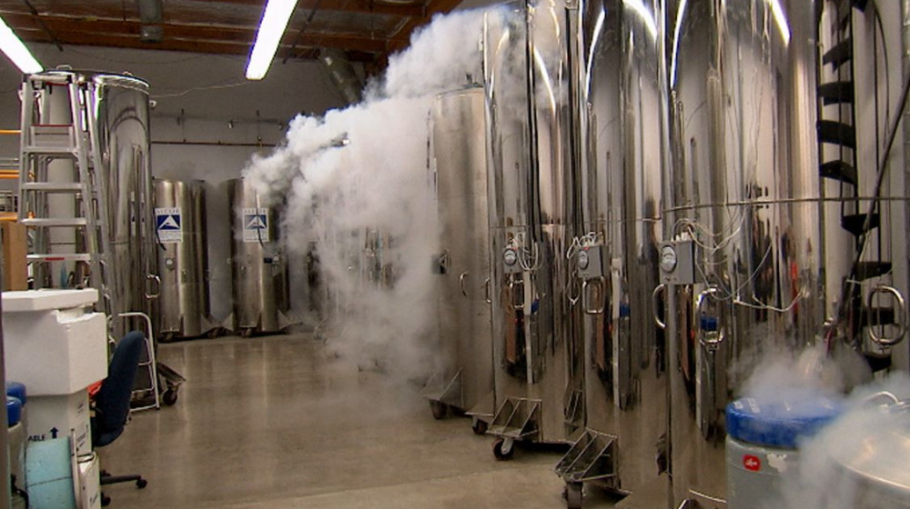    Тайны мумификации Как современные технологии сохраняют тела на века