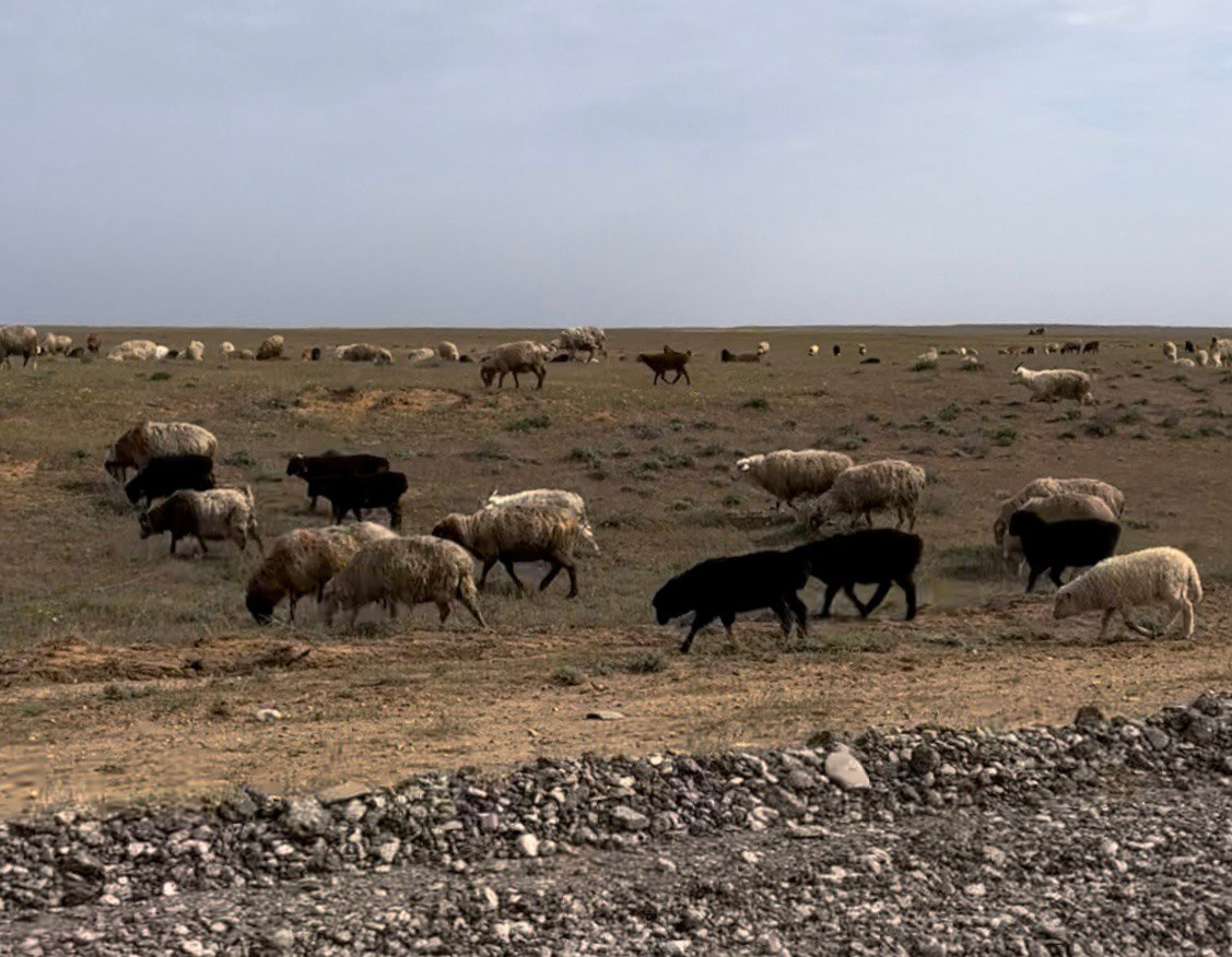 Фото из личного архива