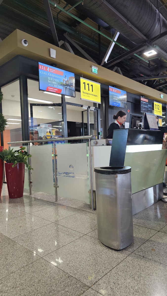 Пока я изучала и наслаждалась в бизнес-зале: народ толпился у гейта в ожидании посадки.