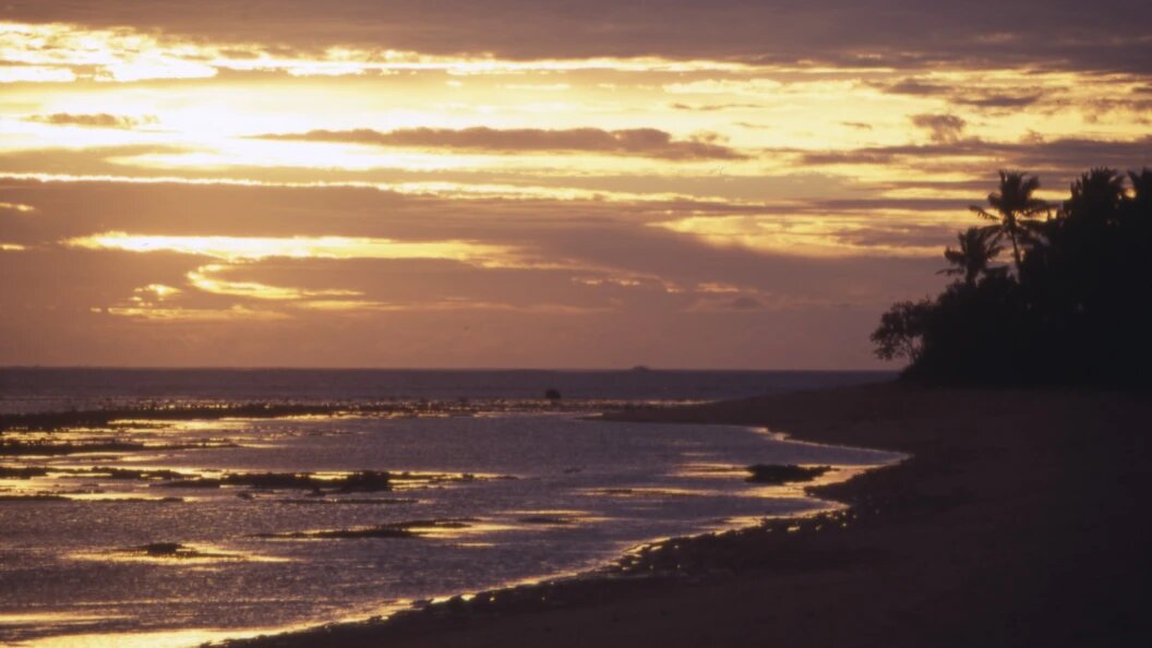    Andrei Kamenev/Russian Look/Globallookpress